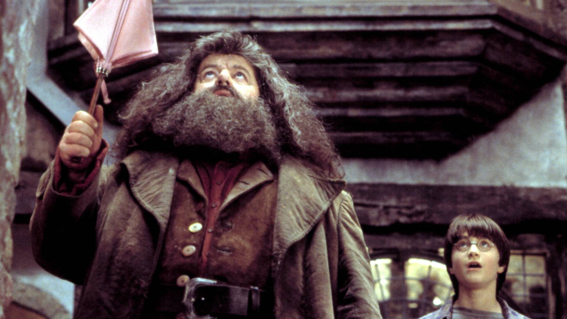 Telling Harry "You’re a Wizard" (Philosopher’s Stone)