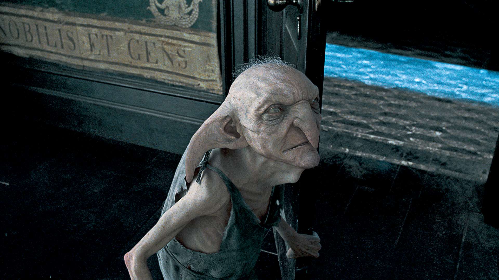 4. The House-Elves’ Battle of Hogwarts