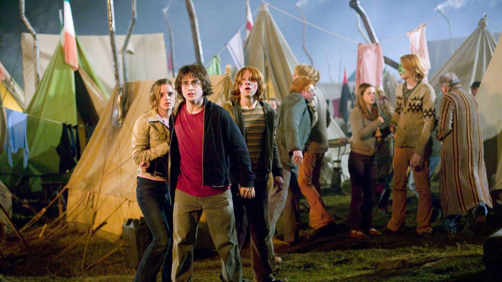 3. The Quidditch World Cup Final Match