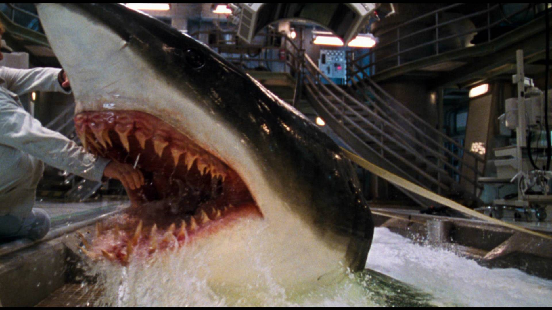 The Final Stand against the Megalodon - Deep Blue Sea (1999)
