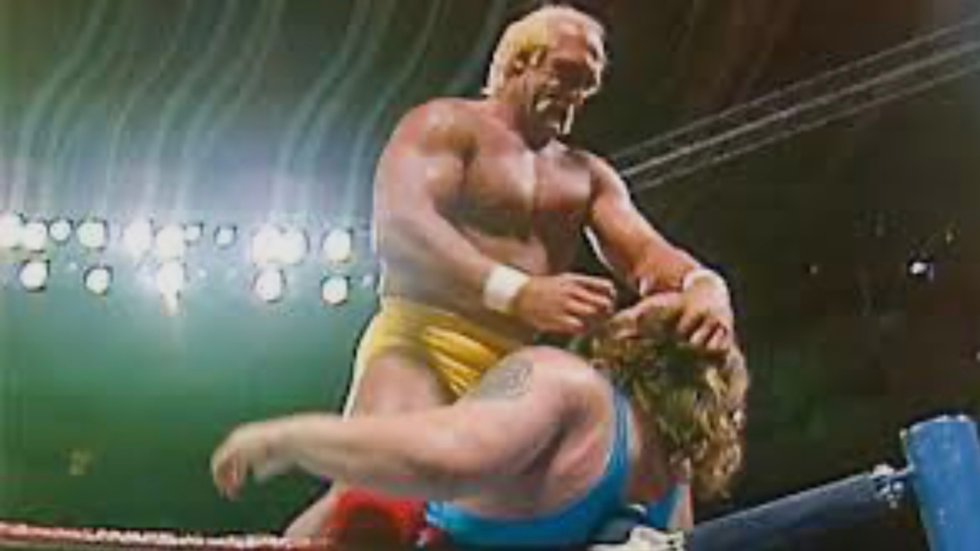 9.⁠ ⁠Haku Took Rick Rude’s Spot in 1990