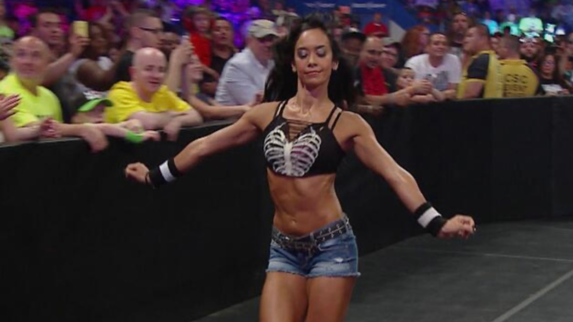 7.⁠ ⁠AJ Lee