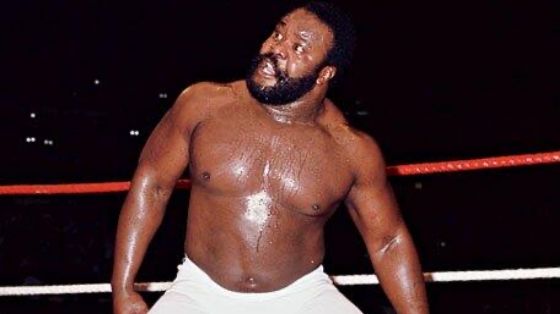 5- The Junkyard Dog