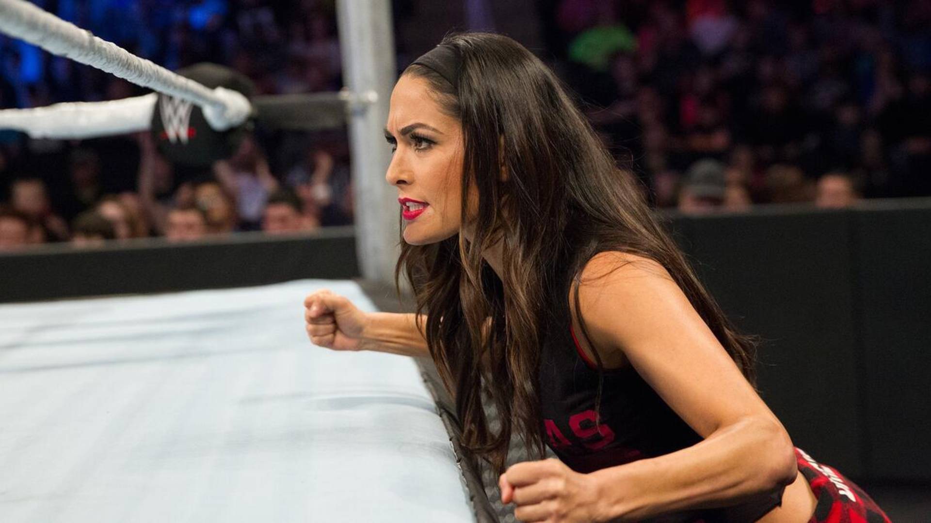 8- Brie Bella: 8.2 Million Followers