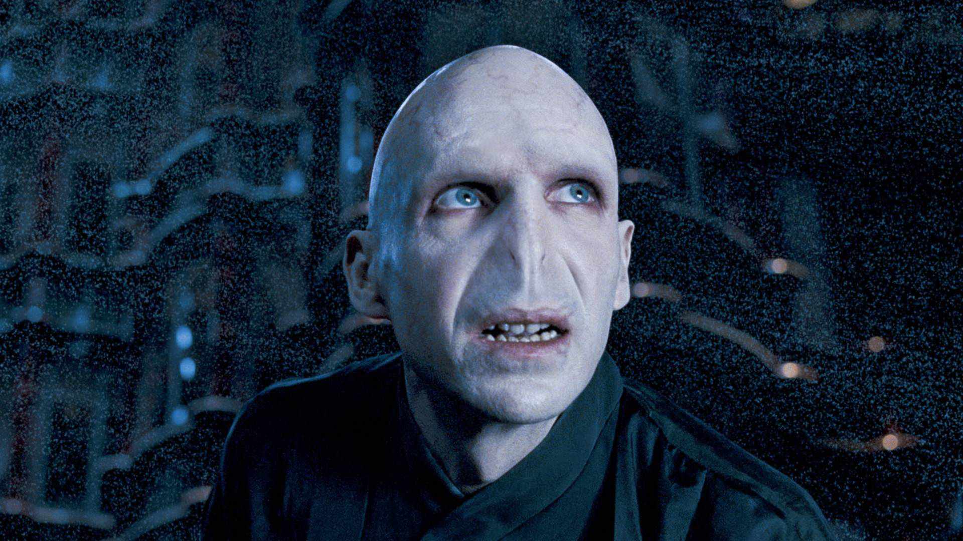 Voldemort Was A Half-Blood