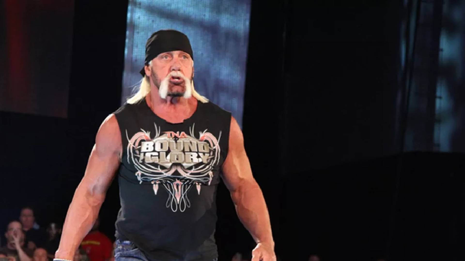 4.⁠ ⁠Hulk Hogan Wanted In on the Bullet Club