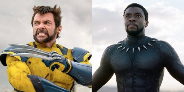 Wolverine and Black Panther (Image: Marvel)