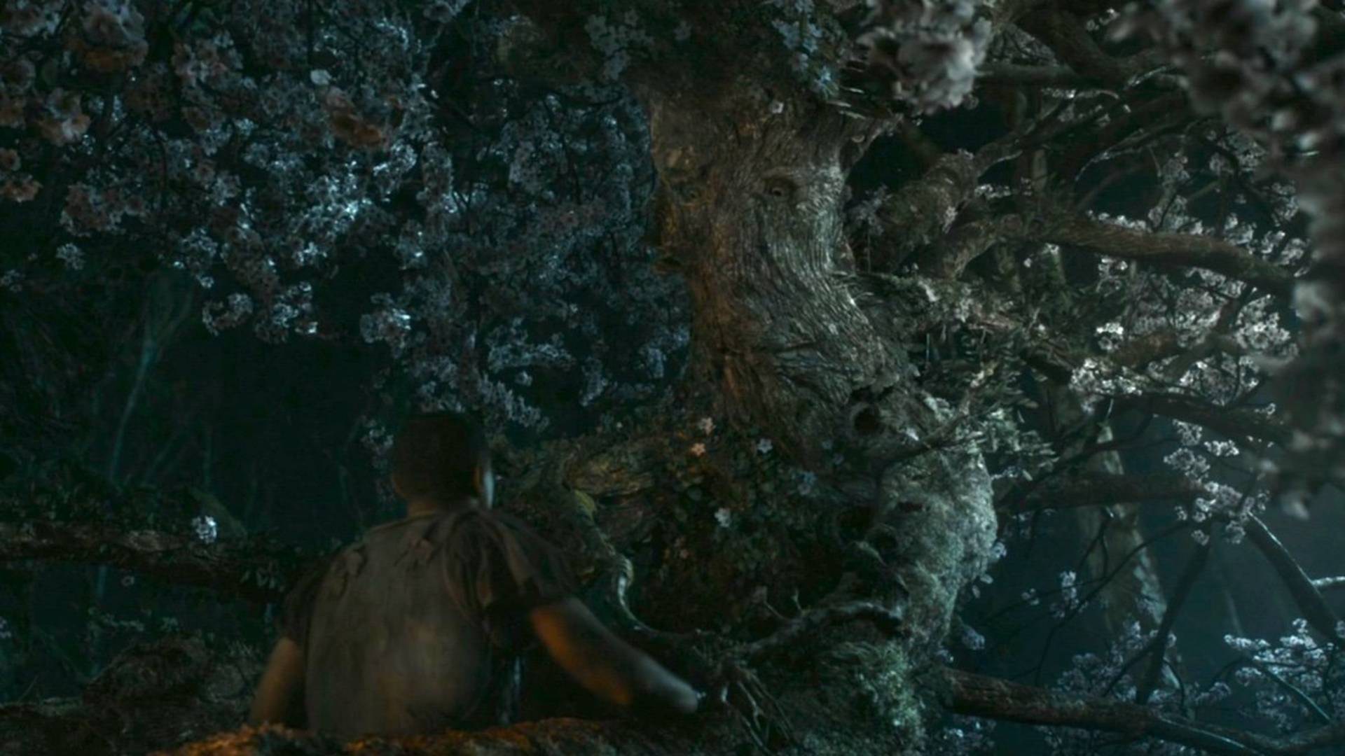 The Enduring Mystery of the Entwives