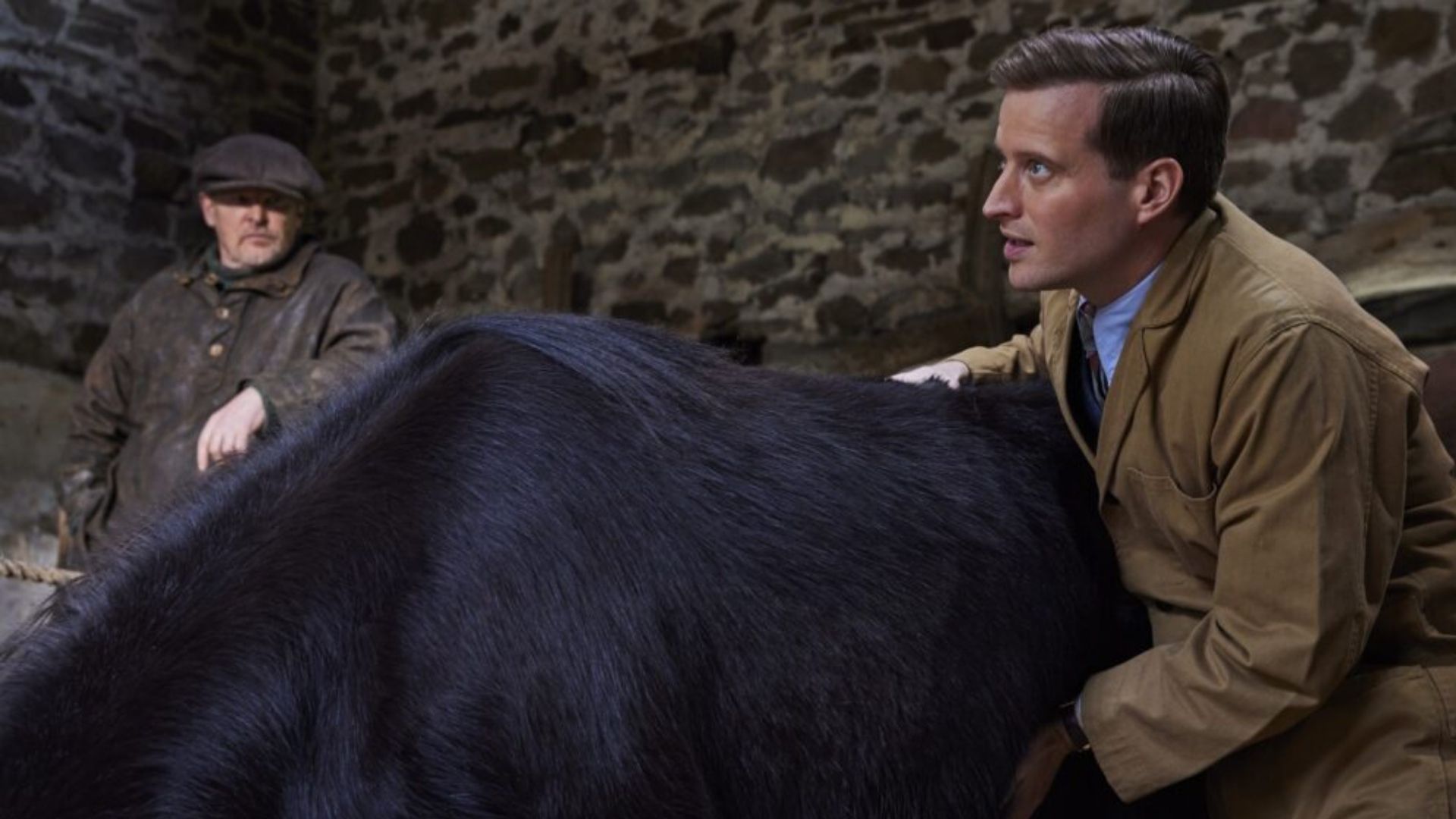 All Creatures Great and Small