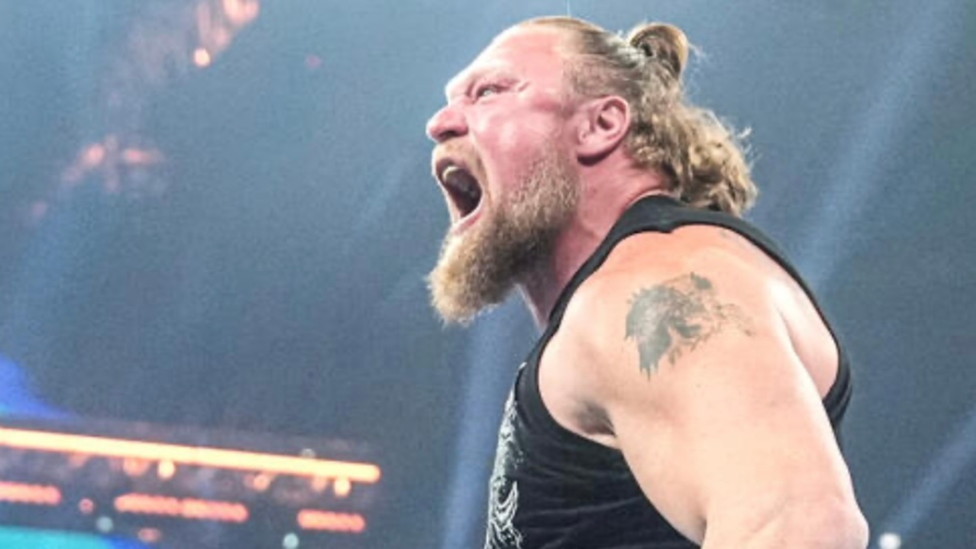 3.⁠ ⁠Brock Lesnar