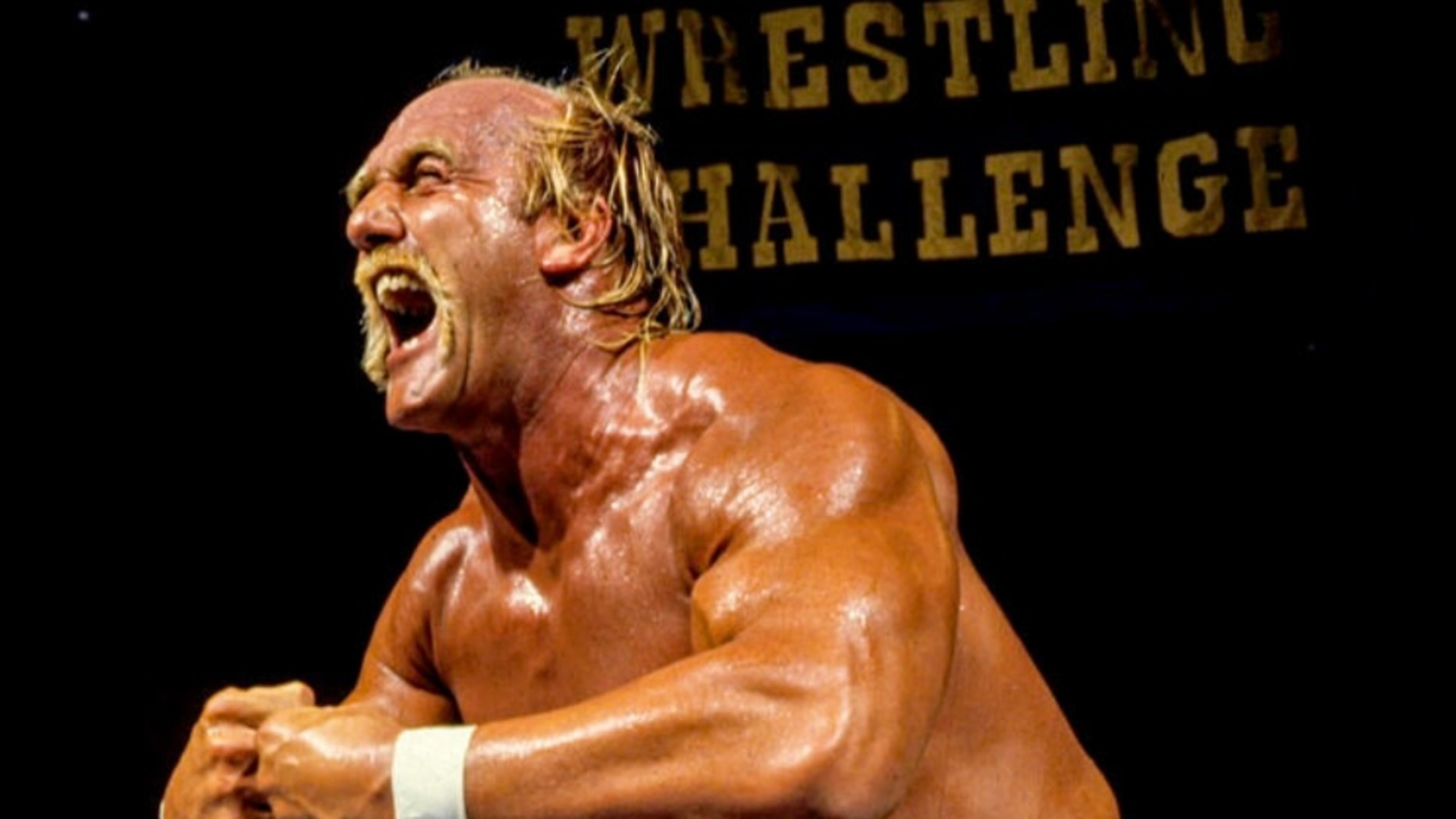 9. Hulk Hogan & WWE - Highest Television Ratings Ever