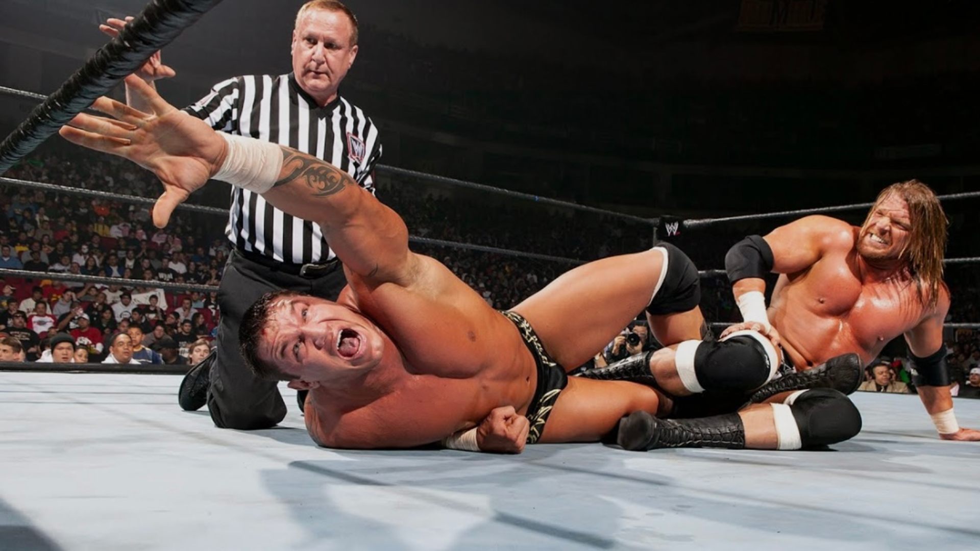 3. Triple H vs. Randy Orton - Royal Rumble 2005