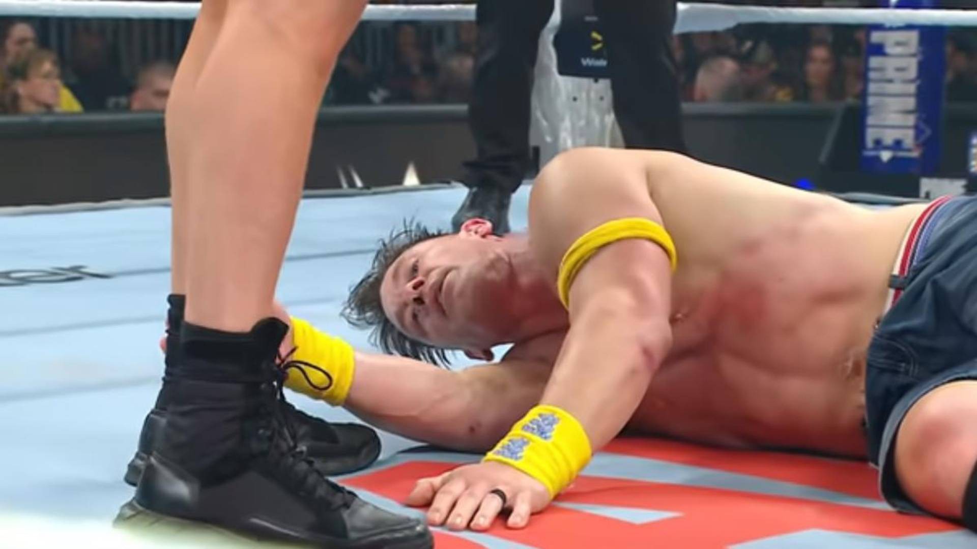 6.⁠ ⁠Brock Lesnar vs. John Cena (Wrestlepalooza)