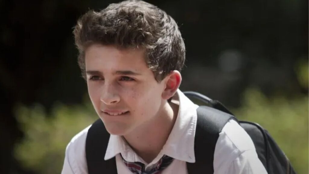 Timothée Chalamet in 'Homeland'