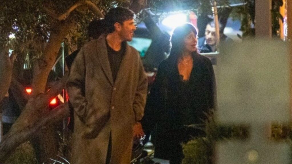 Role Model and Dakota Johnson