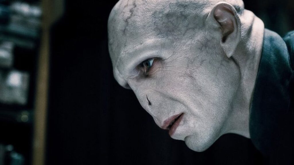 Voldemort (Image: Warner Bros)