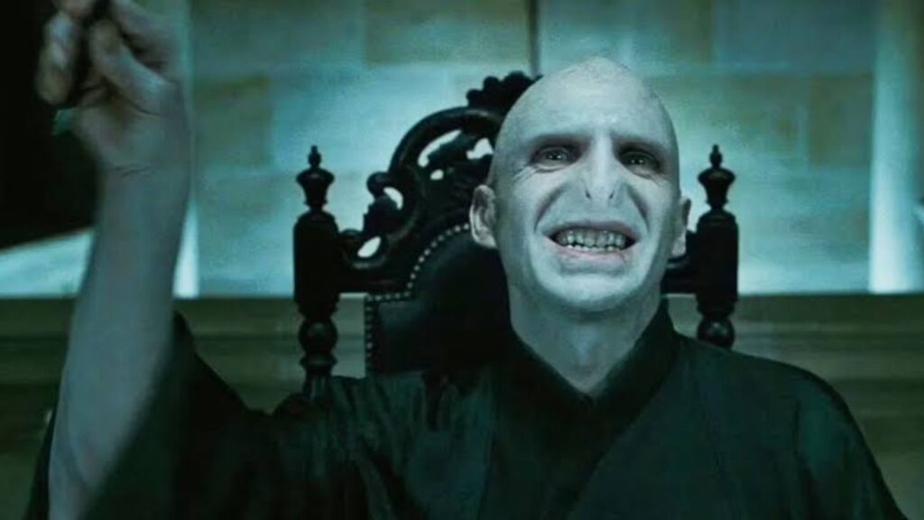 Voldemort (Image: Warner Bros)