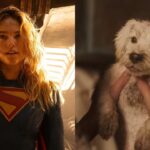Krypto in 'Supergirl' (Image: Warner bros)