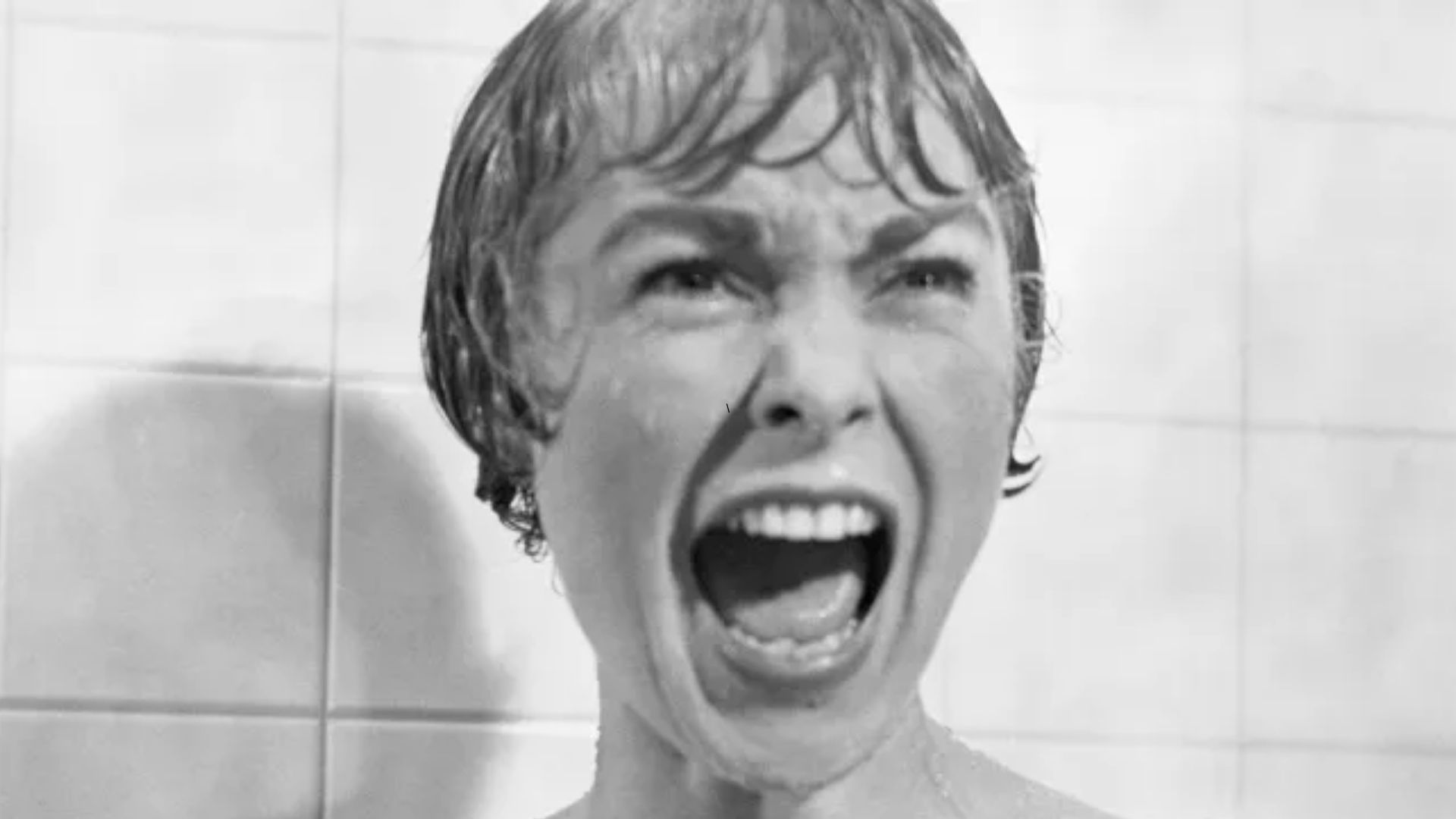 Psycho (1960)