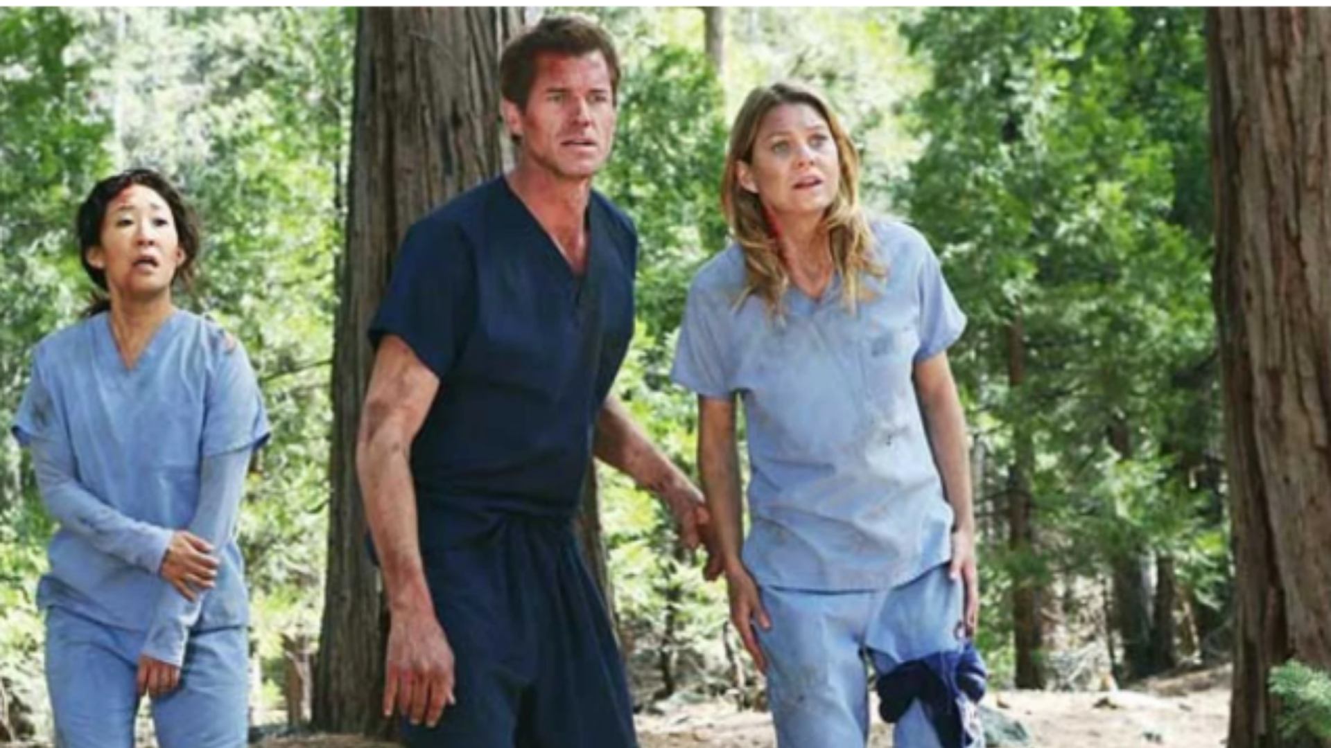 The Plane Crash in the Woods