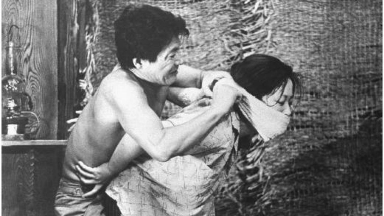 The Woman in the Dunes (1964)