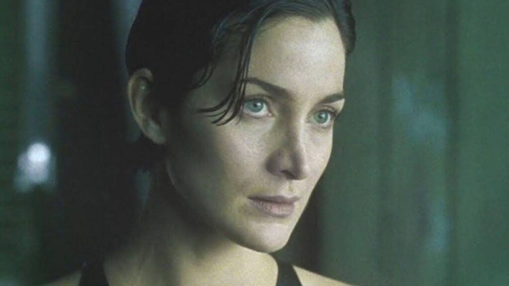 Trinity in The Matrix 