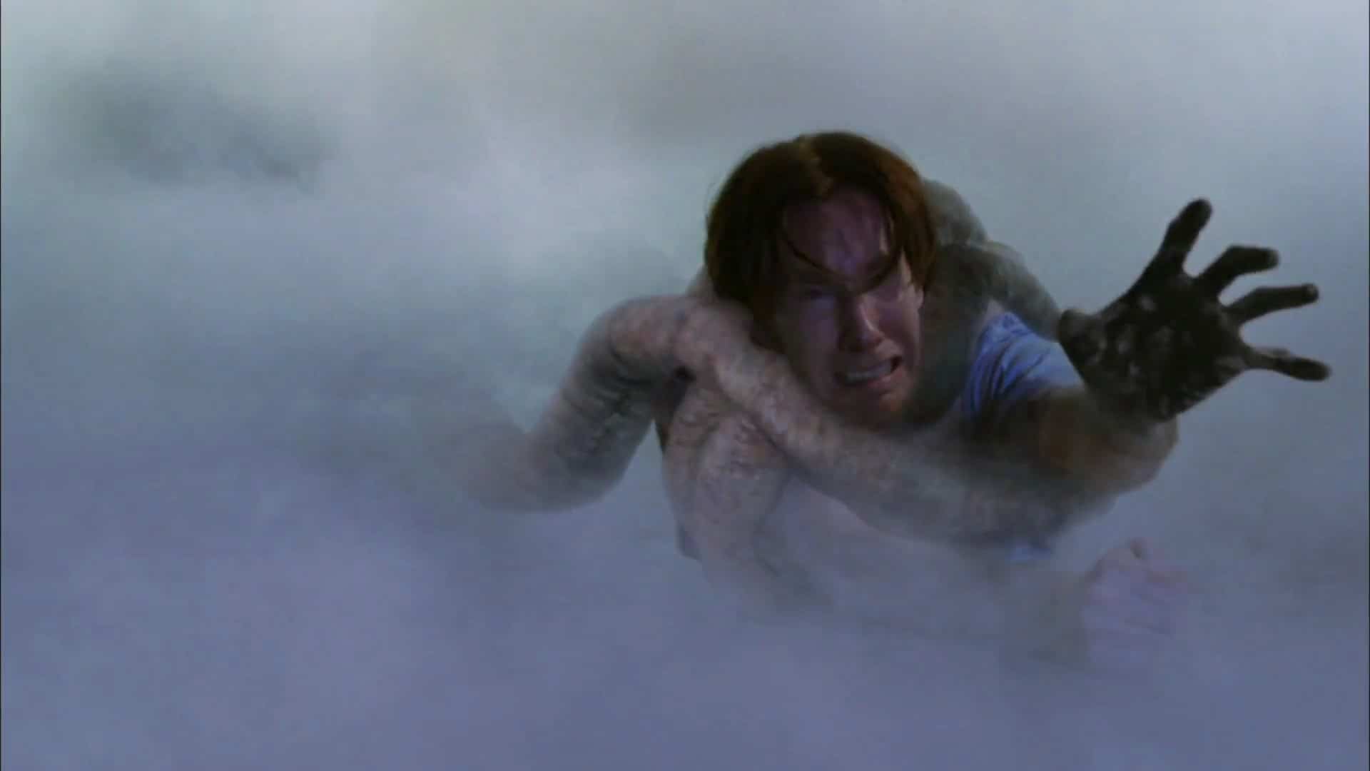 The Mist (2007)