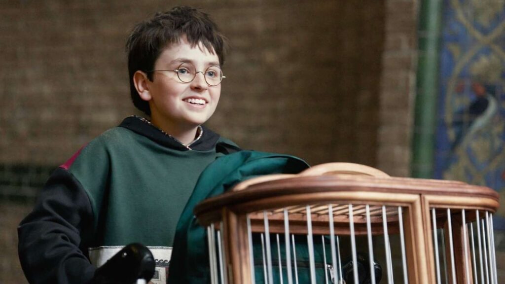 Dominic McLaughlin as Harry Potter in HBO's 'Harry Potter' TV series
