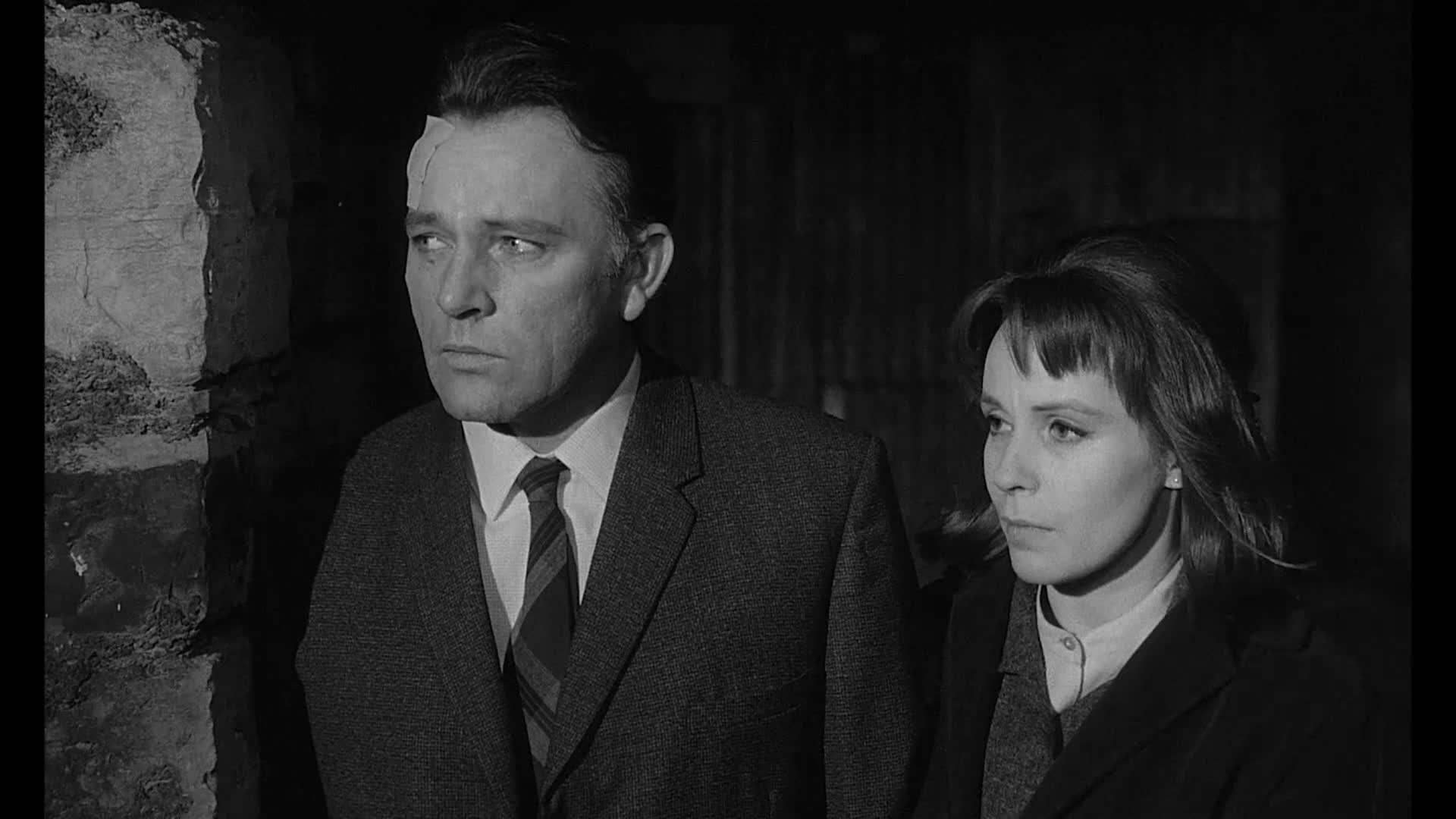 The Spy Who Came in from the Cold (1965)