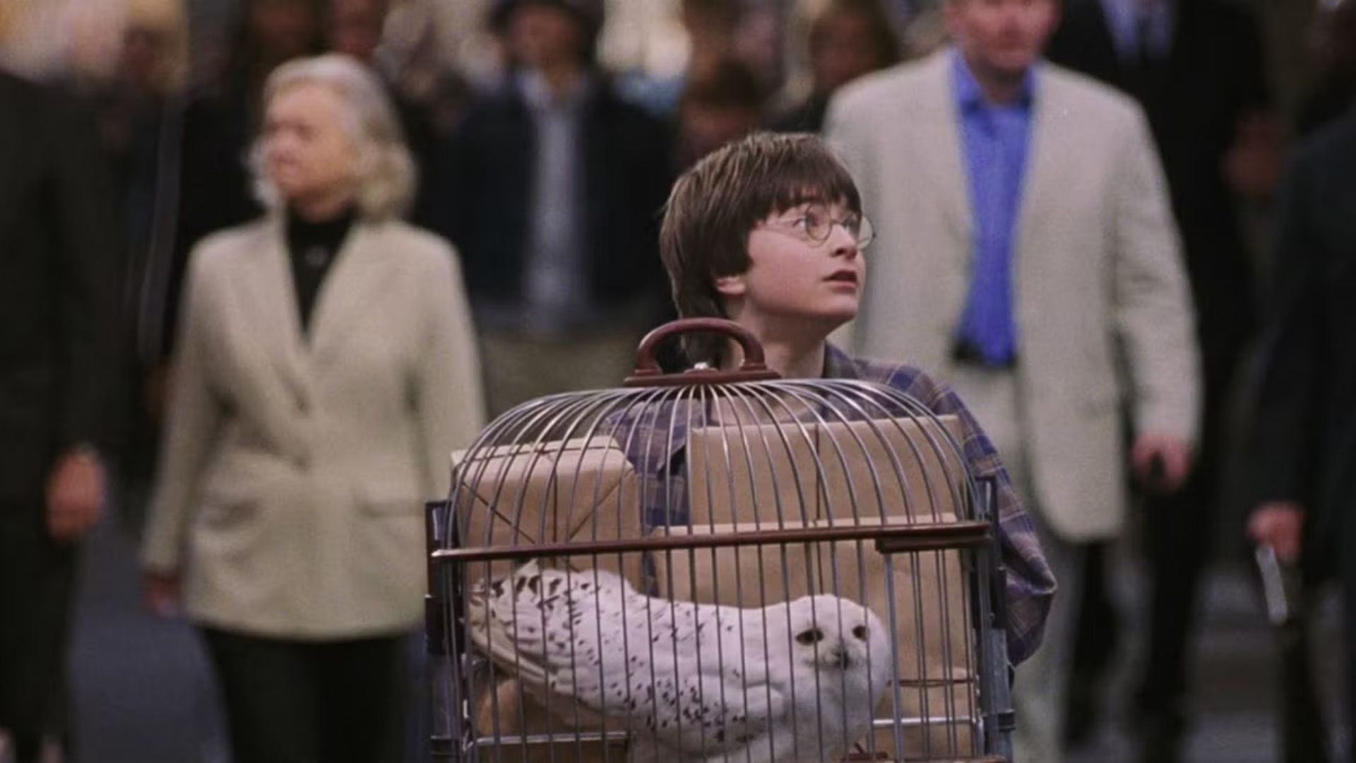 The Dursleys at King’s Cross