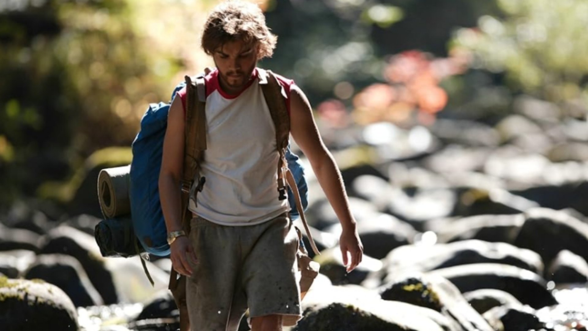 'Into the Wild' (2007)