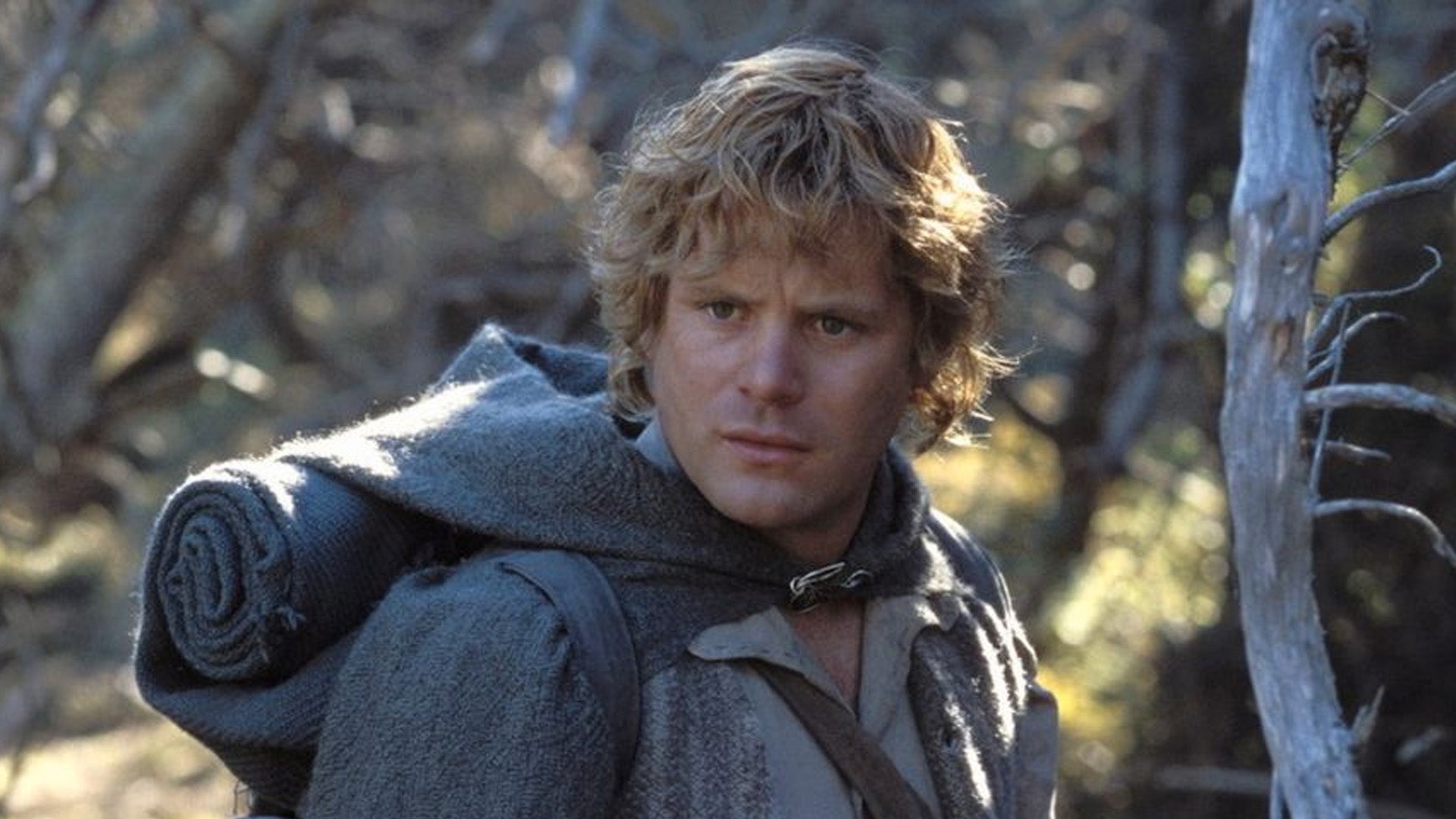 8. Sean Astin as Samwise Gamgee