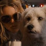 Krypto in 'Supergirl' (Image: DC)