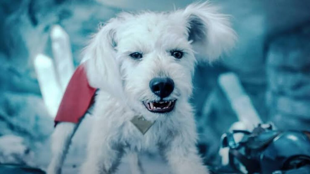 Krypto in 'Supergirl' (Image: DC)