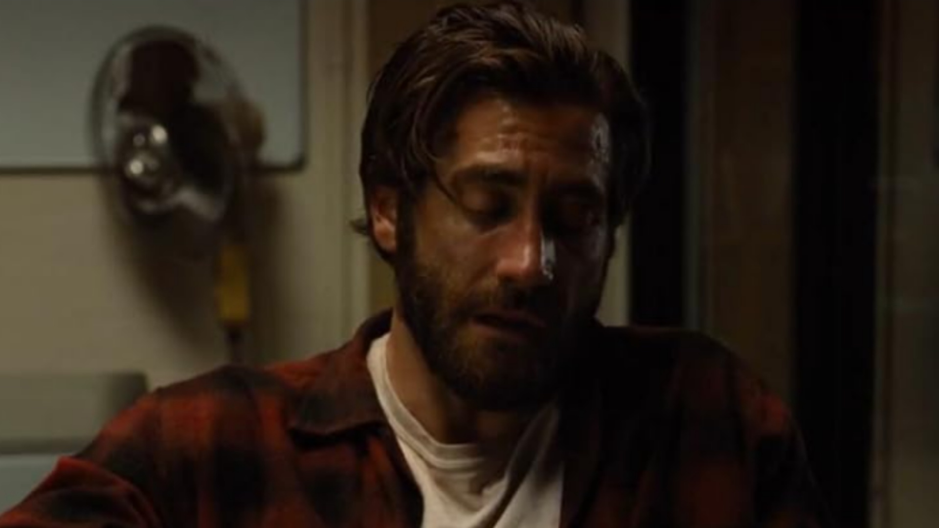 'Nocturnal Animals' (2016)