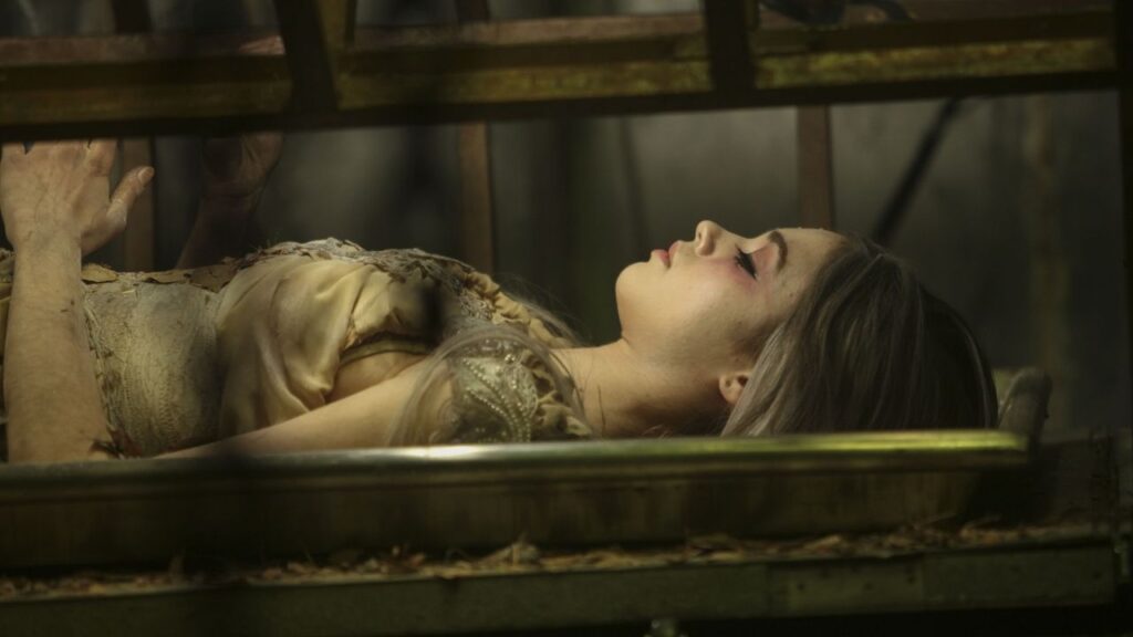 The Curse of Sleeping Beauty