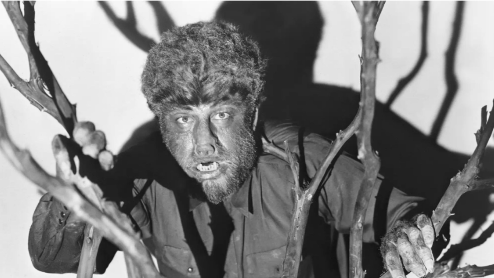 Lon Chaney Jr. as Larry Talbot / The Wolf Man — 'The Wolf Man' (1941)