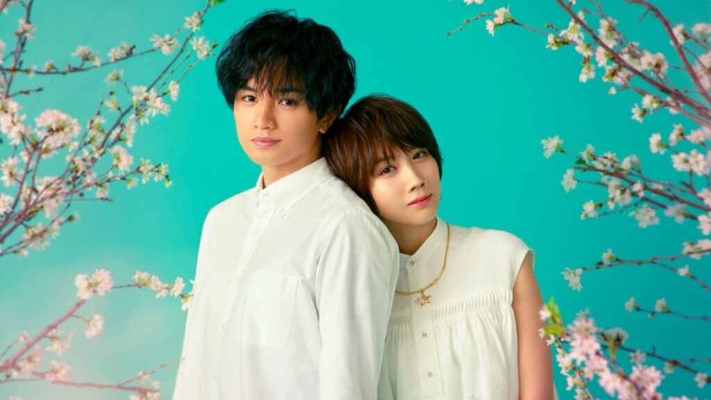 Love Like Falling Petals