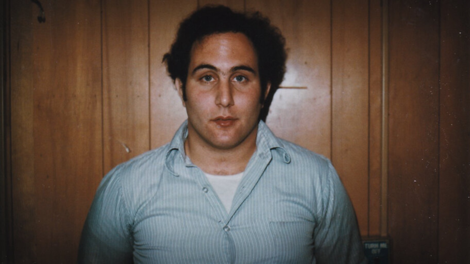 The Sons of Sam - A Descent into Darkness (2021)