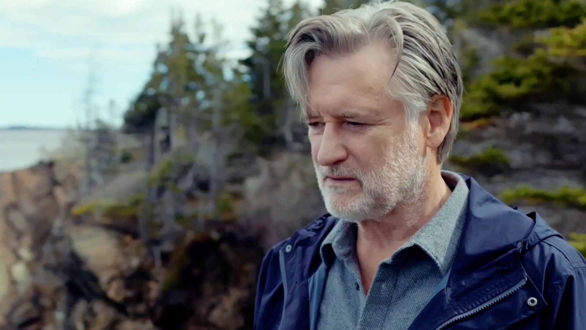 The Sinner (2017–2021)