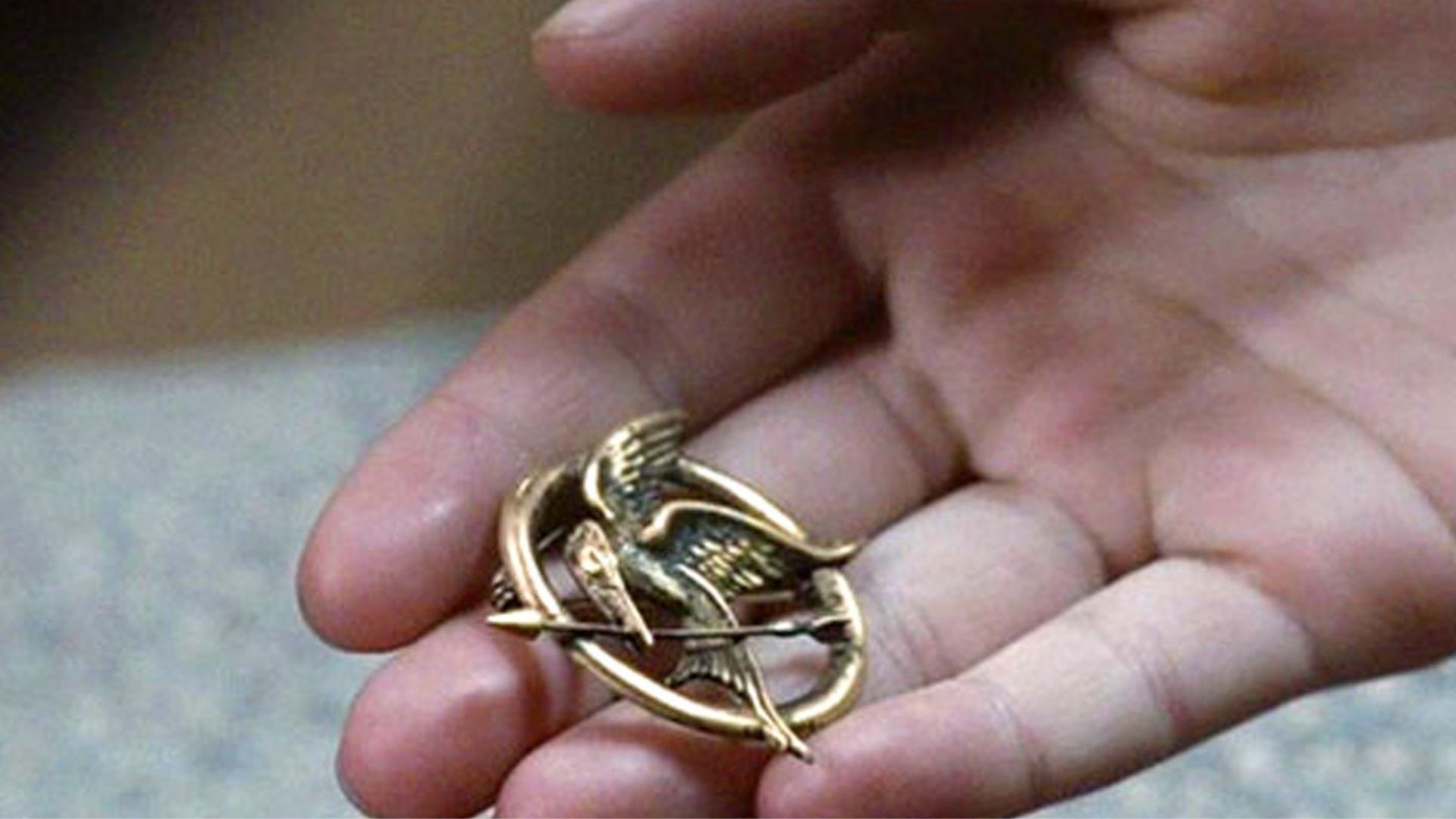 Haymitch Is Linked to the Mockingjay Pin