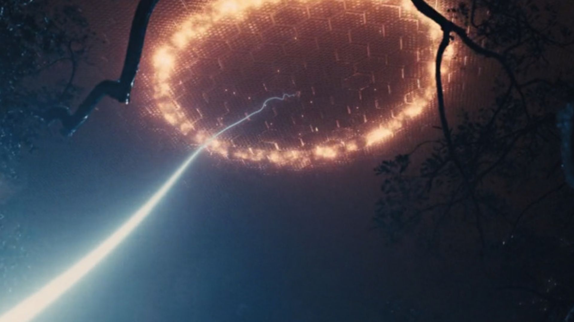 Haymitch Won by Using the Force Field