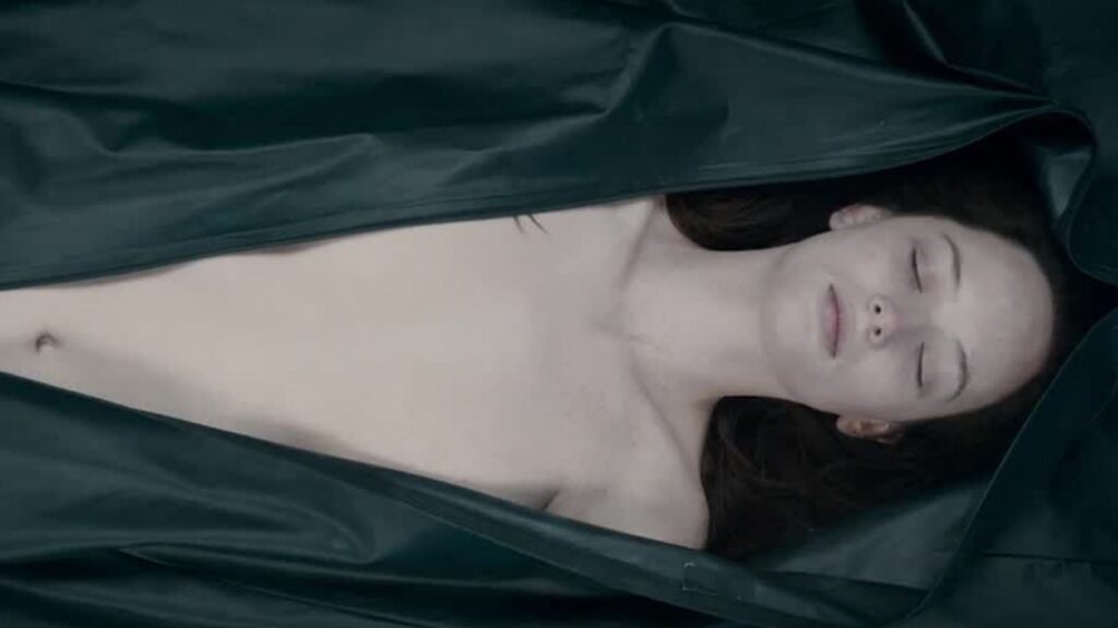 The Autopsy of Jane Doe (2016)