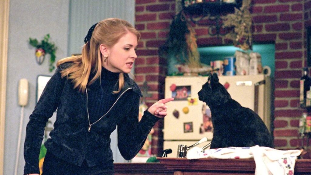 Sabrina The Teenage Witch (Image: ABC)