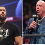 Ric Flair and Roman Reigns