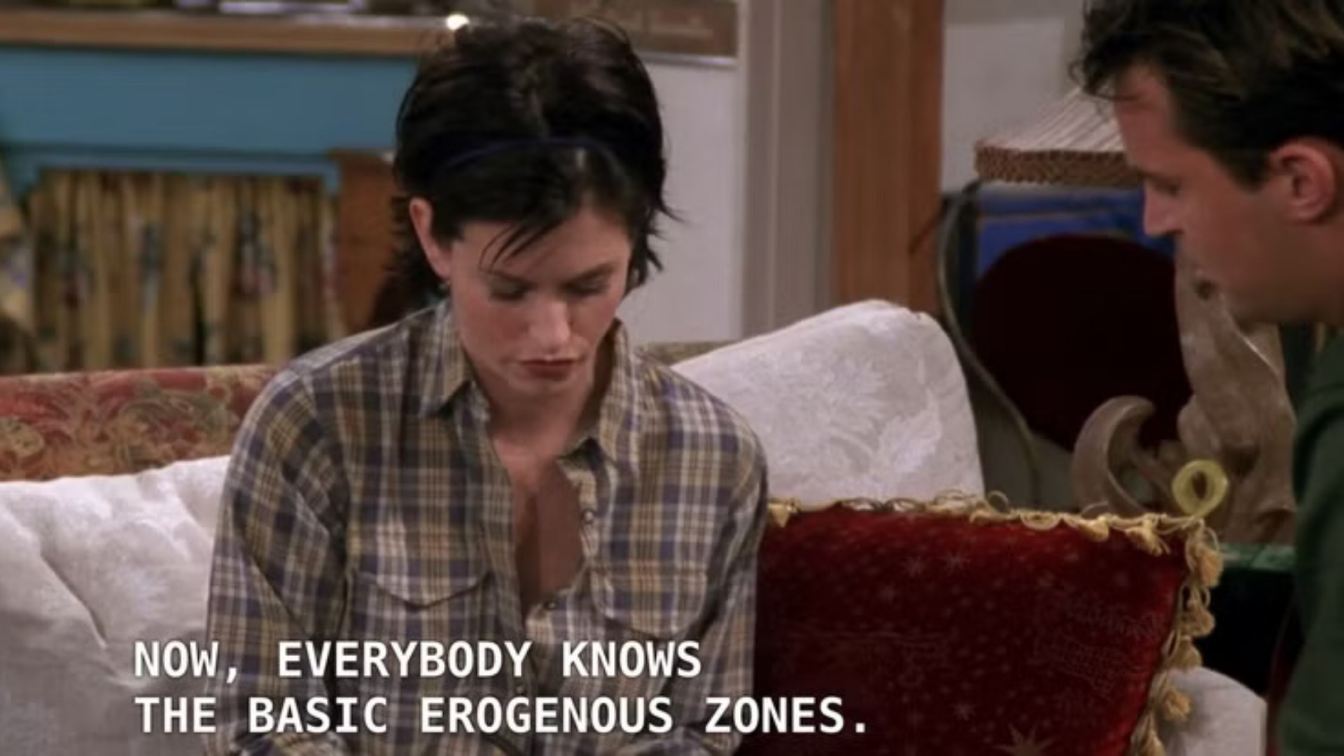 1. Monica Teaching Chandler About Erogenous Zones