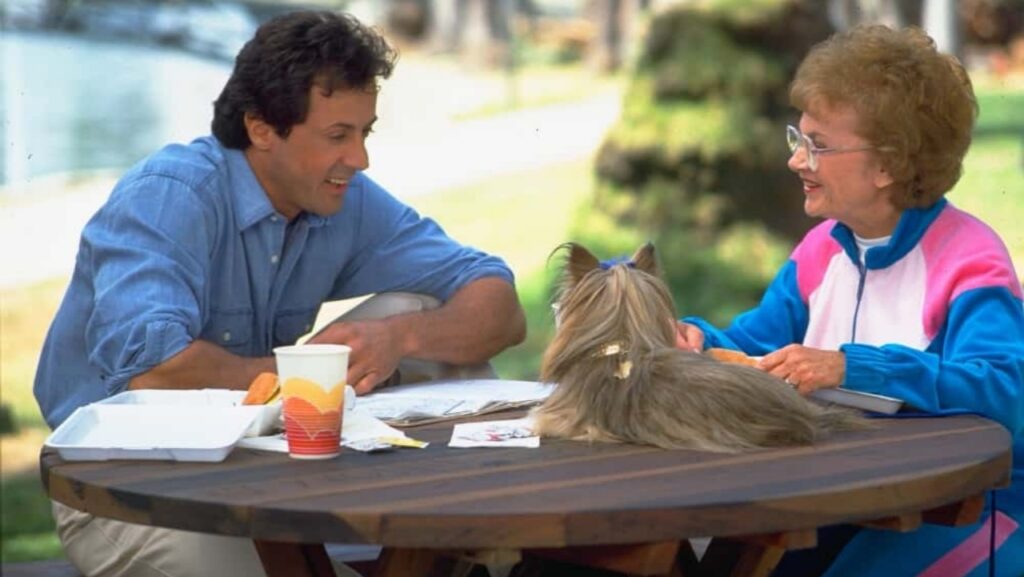 Stop! Or My Mom Will Shoot (Image: Universal Pictures)