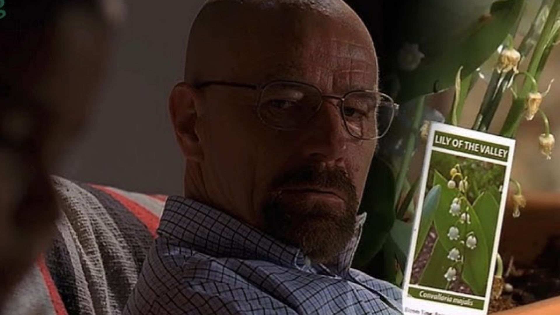 Walt Poisoned Brock in 'Breaking Bad'