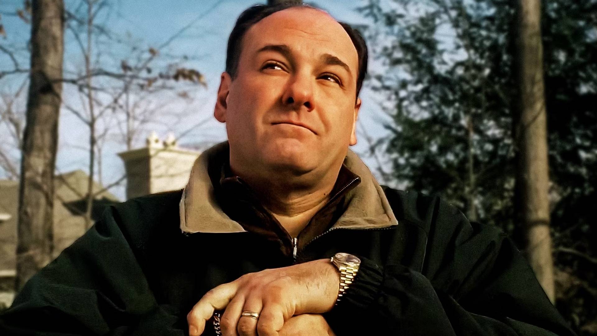 Tony Soprano from 'The Sopranos'