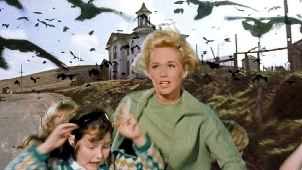 The Birds (Image: Universal Pictures)